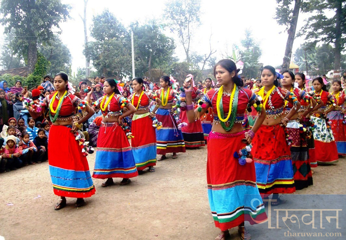 Kanchanpur-sakhiya tharu dance 2