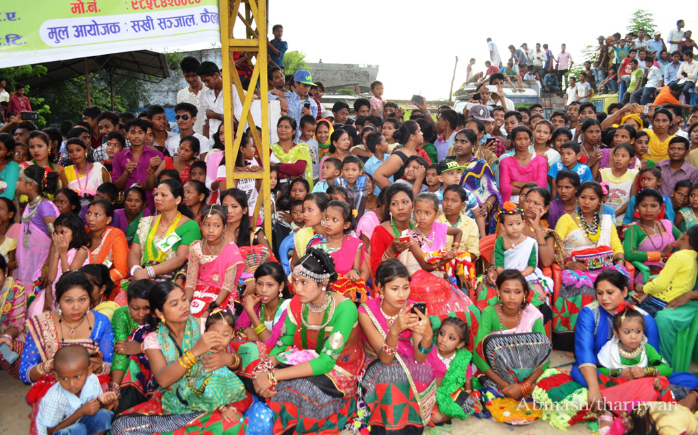 Tharu Festice Gurahi 15