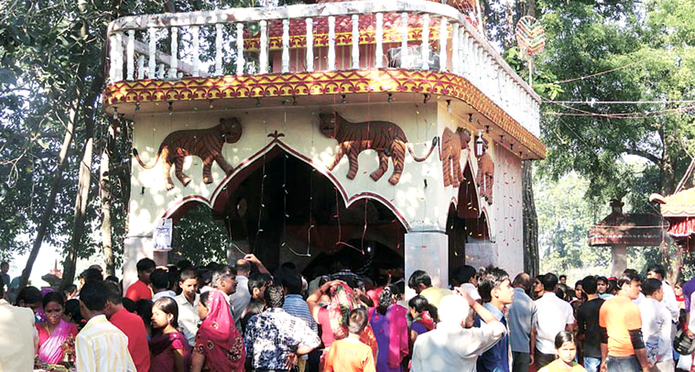 गढीमाई मन्दिरका पूजारीबीच कुटाकुट, पूजारी शभ्भु चौधरी घाइते