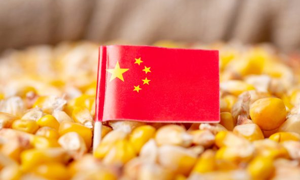 चीनको खाद्य सुरक्षा खतरामा